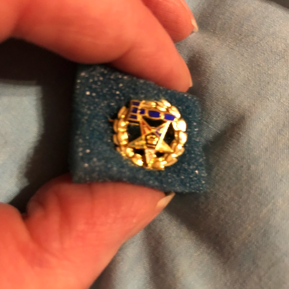 💙💛💟💚❤️ OES PAST MATRON PIN ❤️💚💟💛💙 - Picture 2 of 2